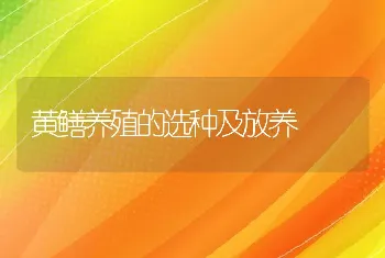 黄鳝养殖的选种及放养