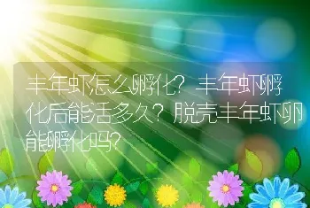 丰年虾怎么孵化？丰年虾孵化后能活多久？脱壳丰年虾卵能孵化吗？