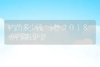 鸭苗多少钱一只?2018养鸭赚钱吗?