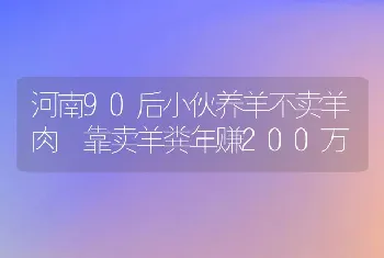 河南90后小伙养羊不卖羊肉 靠卖羊粪年赚200万