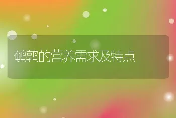 鹌鹑的营养需求及特点