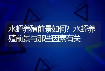 水蛭养殖前景如何?水蛭养殖前景与那些因素有关