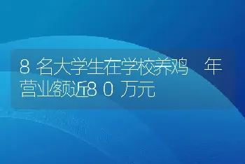 8名大学生在学校养鸡 年营业额近80万元