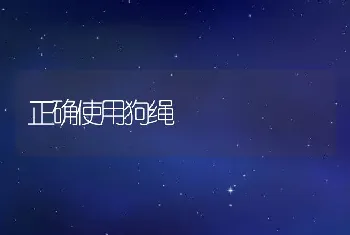 正确使用狗绳