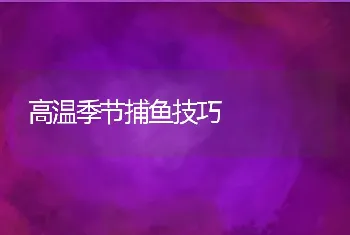 池塘咋养草鱼种效果更好