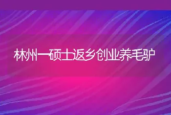 林州一硕士返乡创业养毛驴