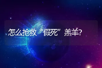 怎么抢救“假死”羔羊？