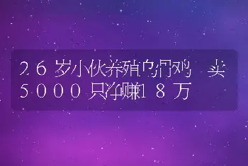 26岁小伙养殖乌骨鸡 卖5000只净赚18万