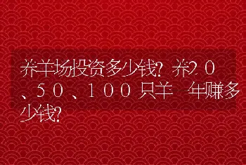 养羊场投资多少钱？养20、50、100只羊一年赚多少钱？