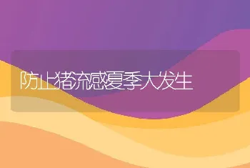 防止猪流感夏季大发生