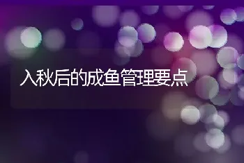 入秋后的成鱼管理要点