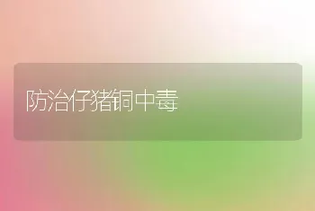 防治仔猪铜中毒