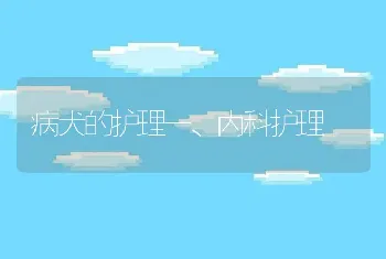 病犬的护理一、内科护理