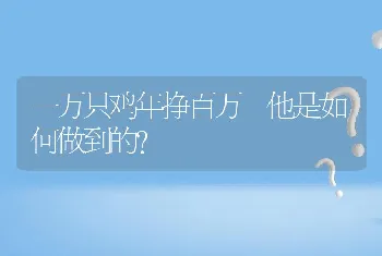 一万只鸡年挣百万 他是如何做到的？