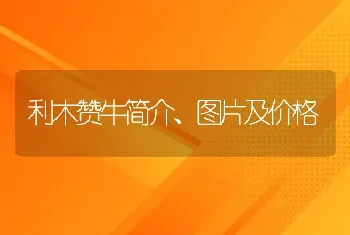 利木赞牛简介、图片及价格