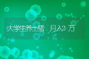 大学生养土猪 月入2万