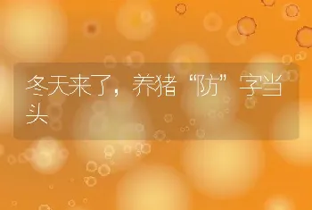 冬天来了，养猪“防”字当头