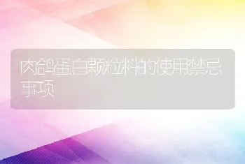 肉鸽蛋白颗粒料的使用禁忌事项