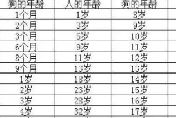 汪星人冷知识丨狗狗年龄对照表