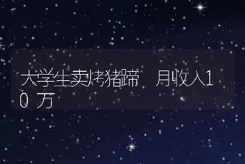 大学生卖烤猪蹄 月收入10万