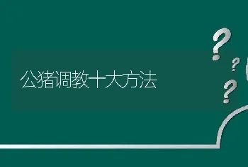 公猪调教十大方法