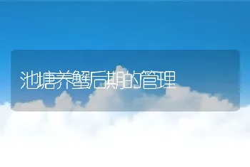 池塘养蟹后期的管理