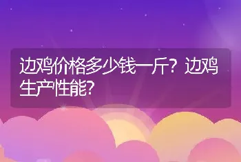 边鸡价格多少钱一斤？边鸡生产性能？