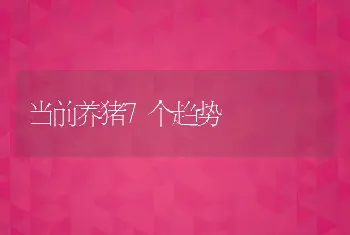 当前养猪7个趋势