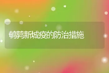 鹌鹑新城疫的防治措施