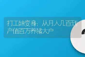 打工妹变身：从月入几百到产值百万养猪大户