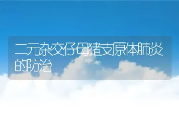 二元杂交仔母猪支原体肺炎的防治