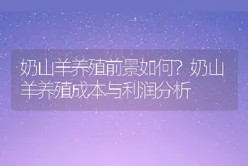 奶山羊养殖前景如何？奶山羊养殖成本与利润分析