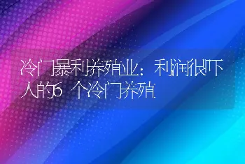 冷门暴利养殖业：利润很吓人的6个冷门养殖