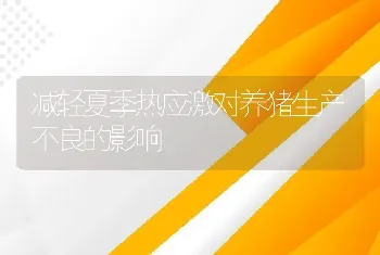 减轻夏季热应激对养猪生产不良的影响