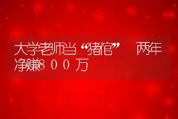 大学老师当“猪倌” 两年净赚800万