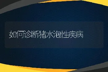 如何诊断猪水泡性疾病