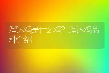 溜达鸡是什么鸡？溜达鸡品种介绍