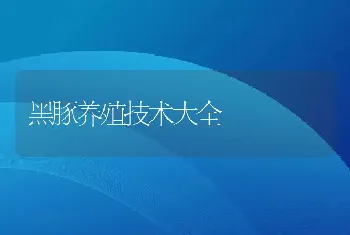 黑豚养殖技术大全