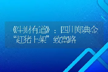 《生财有道》：四川郑典金“赶猪上架”致富路