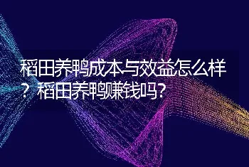 稻田养鸭成本与效益怎么样？稻田养鸭赚钱吗？