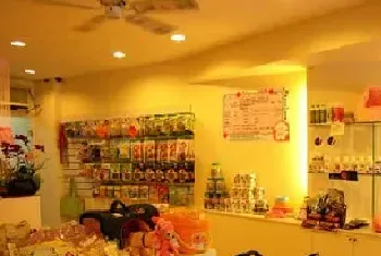 租金上涨，宠物店进入“高成本时代