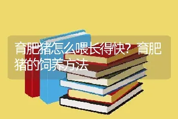 育肥猪怎么喂长得快？育肥猪的饲养方法