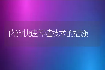 肉狗快速养殖技术的措施