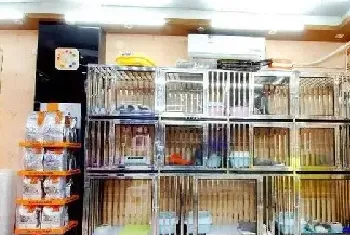 狗狗为什么害怕去宠物店，可能是这几种原因！