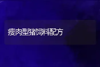 瘦肉型猪饲料配方