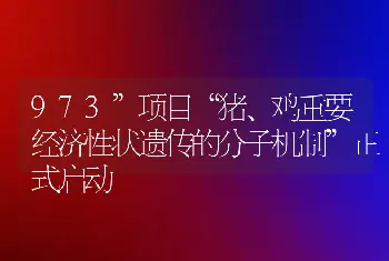 973”项目“猪、鸡重要经济性状遗传的分子机制”正式启动