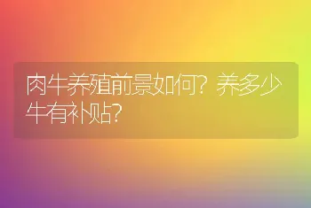 肉牛养殖前景如何？养多少牛有补贴？