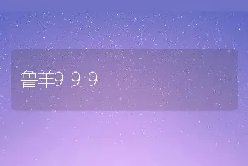 鲁羊999