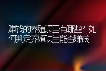 赚钱的养殖项目有哪些?如何判定养殖项目能否赚钱