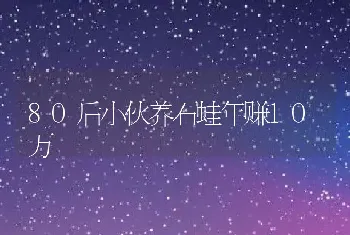 80后小伙养石蛙年赚10万